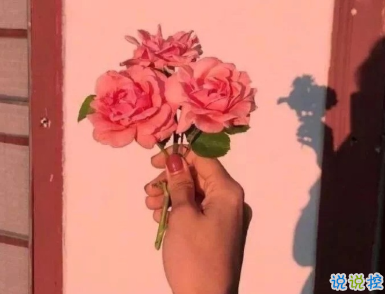 第一眼就心動(dòng)的酷酷文案2021 偶爾可惡永遠(yuǎn)可愛1