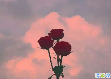 朋友圈秒贊的打工人的經(jīng)典語錄 做一個(gè)舒舒服服的打工人1