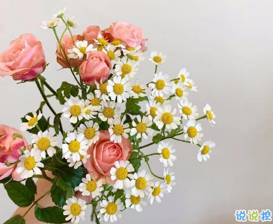 溫柔干凈的高質(zhì)量走心文案 世界繼續(xù)熱鬧我仍然是我2