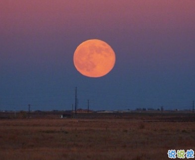 最走心干凈且治愈的朋友圈小句子 情感心語合集微信語錄1