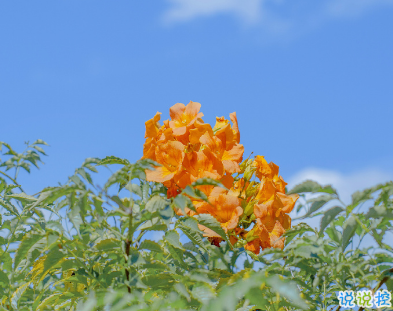 適合十一月發(fā)朋友圈的心情文案 十一月都要過(guò)的足夠好1