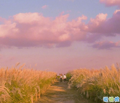 一眼就喜歡上的表白情話 給對象表白感動暖心情話1