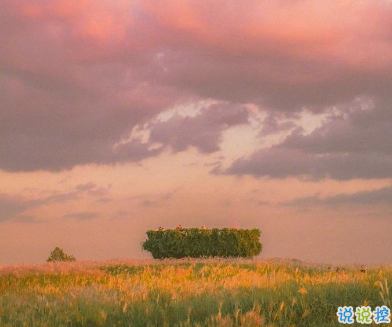 一眼就喜歡上的表白情話 給對象表白感動暖心情話2