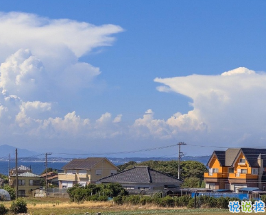 雙十一單身狗吐槽的沙雕文案 先帝創(chuàng)業(yè)未半而花光預(yù)算1