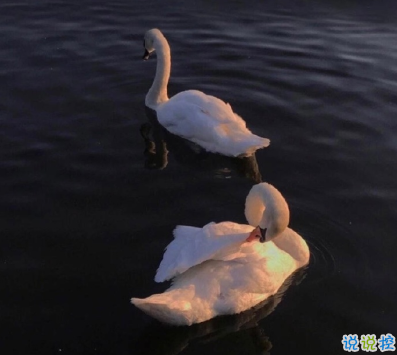 2020剩60天的勵(lì)志說說帶圖片 2020最后60天寫給自己的話2