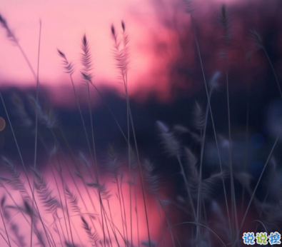 2020剩60天的勵(lì)志說說帶圖片 2020最后60天寫給自己的話8