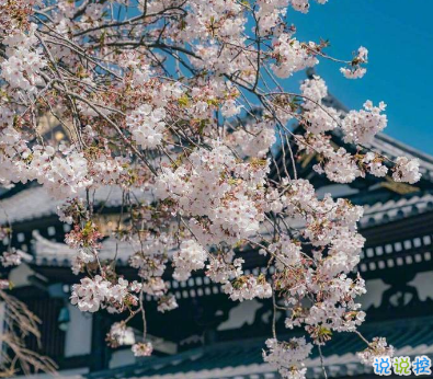 2020剩60天的勵(lì)志說說帶圖片 2020最后60天寫給自己的話11