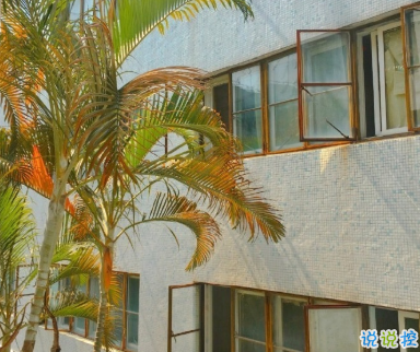 適合十一月發(fā)朋友圈溫暖人心的文案 放棄不難但堅(jiān)持一定很酷14