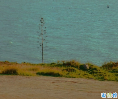 適合十一月發(fā)朋友圈溫暖人心的文案 放棄不難但堅(jiān)持一定很酷15