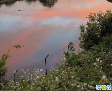 2021適合跨年夜官宣戀愛的句子 以后的生活里都有你這個(gè)小可愛2