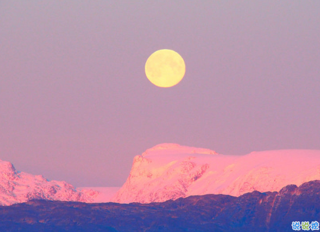 ins超火的甜美愛情句子帶翻譯 給對(duì)象最美情話1