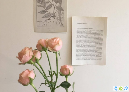 適合日常自拍沙雕的朋友圈文案 美女這么多還好我是其中一個(gè)2