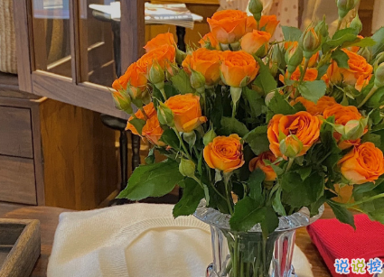 15句驚艷朋友圈的唯美短句 山中若有眠枕的是月1