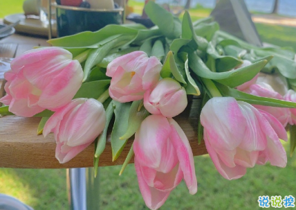 15句驚艷朋友圈的唯美短句 山中若有眠枕的是月3