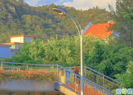 15句驚艷朋友圈的唯美短句 山中若有眠枕的是月6