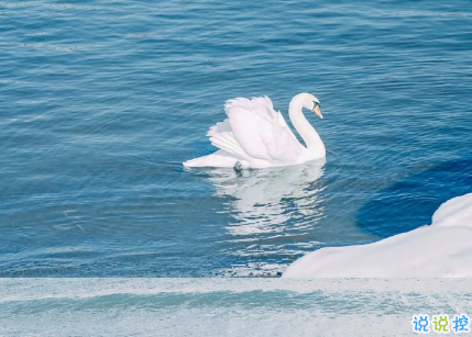 15句驚艷朋友圈的唯美短句 山中若有眠枕的是月9
