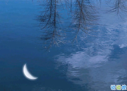 15句驚艷朋友圈的唯美短句 山中若有眠枕的是月14