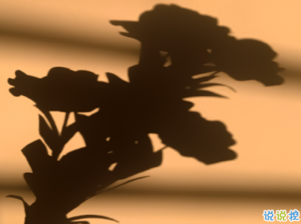 2021朋友圈很喪很絕望的溫柔文案 所有的情緒我一樣也沒躲過2