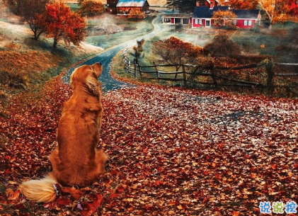 朋友圈點(diǎn)贊率最高的圖片說說 愛是天時(shí)地利的迷信12