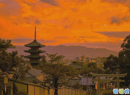 朋友圈點(diǎn)贊率最高的圖片說說 愛是天時(shí)地利的迷信13