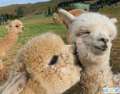 夸顏值的高級彩虹屁范本 如何夸一個人好看1