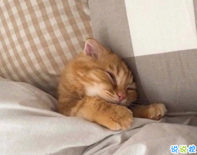 夸顏值的高級彩虹屁范本 如何夸一個人好看2