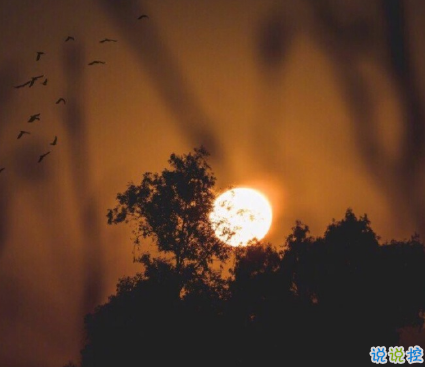 發(fā)朋友圈文藝的心情短句 適合深意發(fā)朋友圈的句子 2