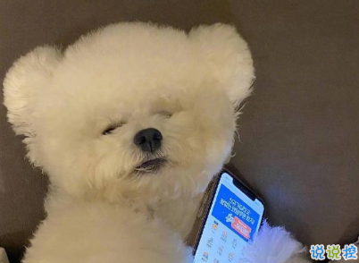 冬季發(fā)朋友圈的唯美句子帶圖片 墜歡莫拾酒痕在衣9