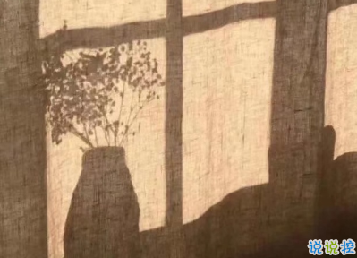 冬季發(fā)朋友圈的唯美句子帶圖片 墜歡莫拾酒痕在衣13