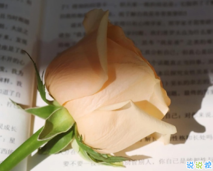 好天氣好心情外出郊游的心情說說 適合心情很好的正能量文案1