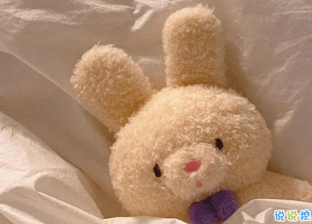 適合曬結(jié)婚證的有趣文案帶圖片 持證上崗未來共同富裕15