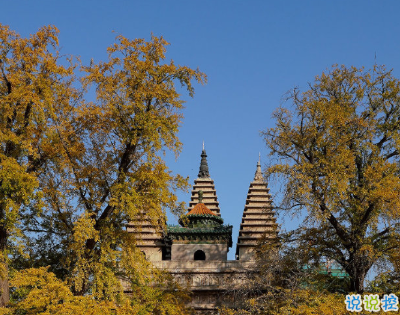 秋天再見冬天你好的經(jīng)典文案 秋天的不甘該通通放下了2