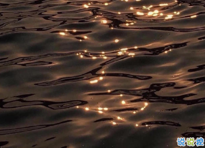 2021很有詩意內(nèi)涵的晚安句子 桐花萬里路連朝語不息3