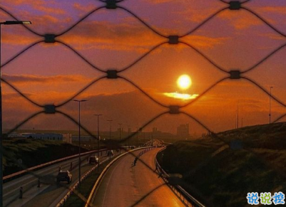 2021很有詩意內(nèi)涵的晚安句子 桐花萬里路連朝語不息4