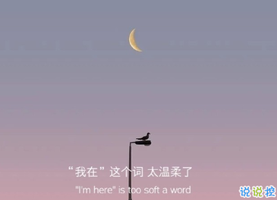 2021很有詩意內(nèi)涵的晚安句子 桐花萬里路連朝語不息8