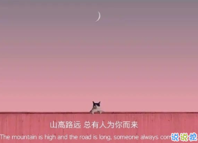 2021很有詩意內(nèi)涵的晚安句子 桐花萬里路連朝語不息11