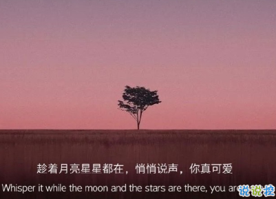 2021很有詩意內(nèi)涵的晚安句子 桐花萬里路連朝語不息13