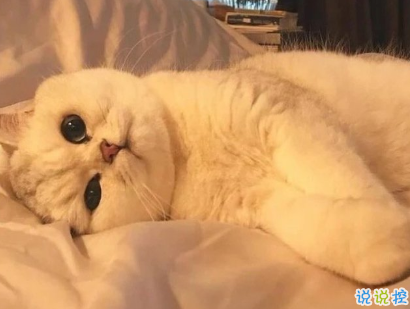 教你如何辨別渣男的句子 渣男經(jīng)典語錄帶圖片2