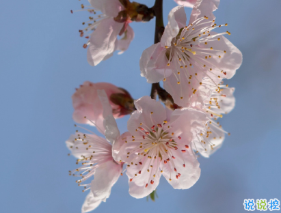 教你如何辨別渣男的句子 渣男經(jīng)典語錄帶圖片6