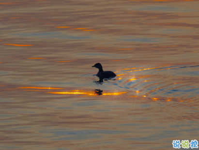 教你如何辨別渣男的句子 渣男經(jīng)典語錄帶圖片7