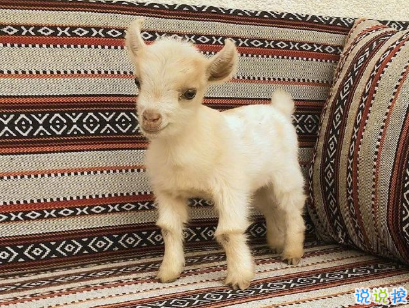 教你如何辨別渣男的句子 渣男經(jīng)典語錄帶圖片11