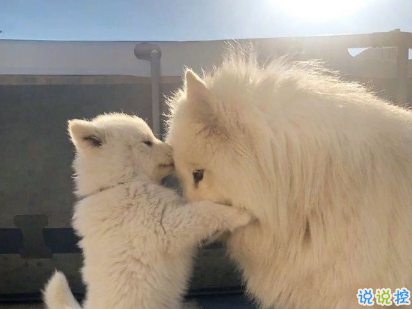 教你如何辨別渣男的句子 渣男經(jīng)典語錄帶圖片13