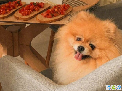 教你如何辨別渣男的句子 渣男經(jīng)典語錄帶圖片14