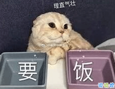 雙十一笑死人的有趣請假文案 你們今天請假可以用的理由2