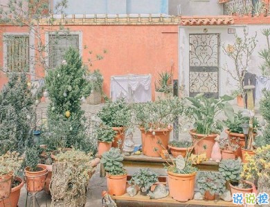 父母生日給表白的煽情的句子 萬物皆甜而你勝過萬物1