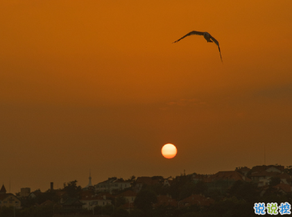 一些關(guān)于下雨天沮喪傷感心情句子 有人等煙雨有人怪雨急1