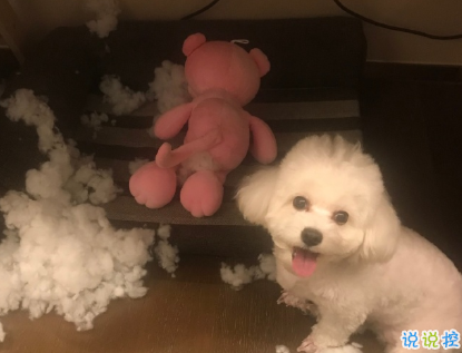 吳青峰絕美歌詞干凈舒心文案 超級舒心溫柔的文案2