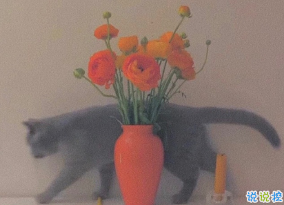 寒衣節(jié)朋友圈怎么發(fā) 寒衣節(jié)緬懷親人的文案2