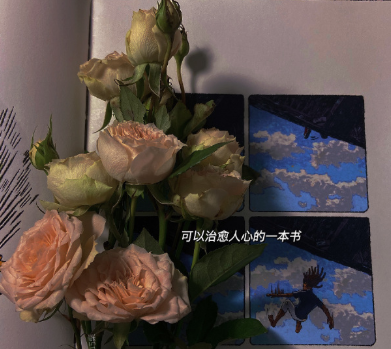 無關(guān)愛情讓人心動的貼心溫柔文案 感同身受從來不適合聆聽者1