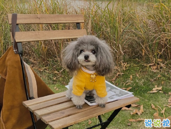 凡爾賽文學(xué)什么梗 凡爾賽文學(xué)沙裝逼文案1